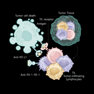 Tumor-Infiltrating Lymphocyte